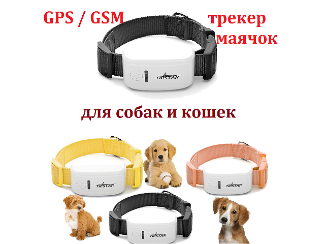 Gps маячок для животных Gps маячок для животных