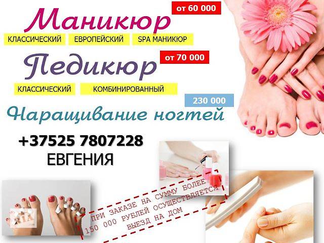 Как подарить родителям собаку Как подарить родителям собаку