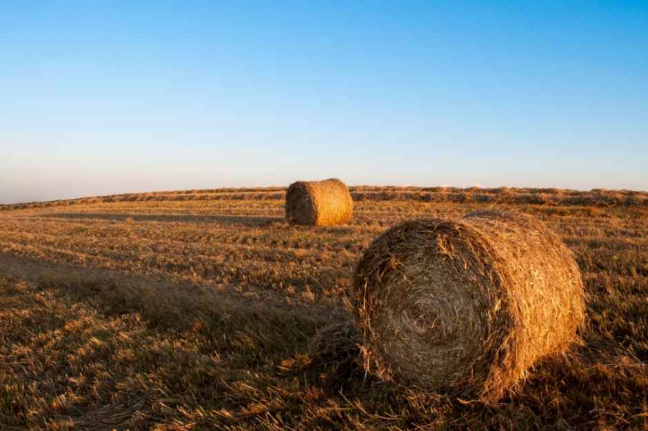 аукцион по аренде земли