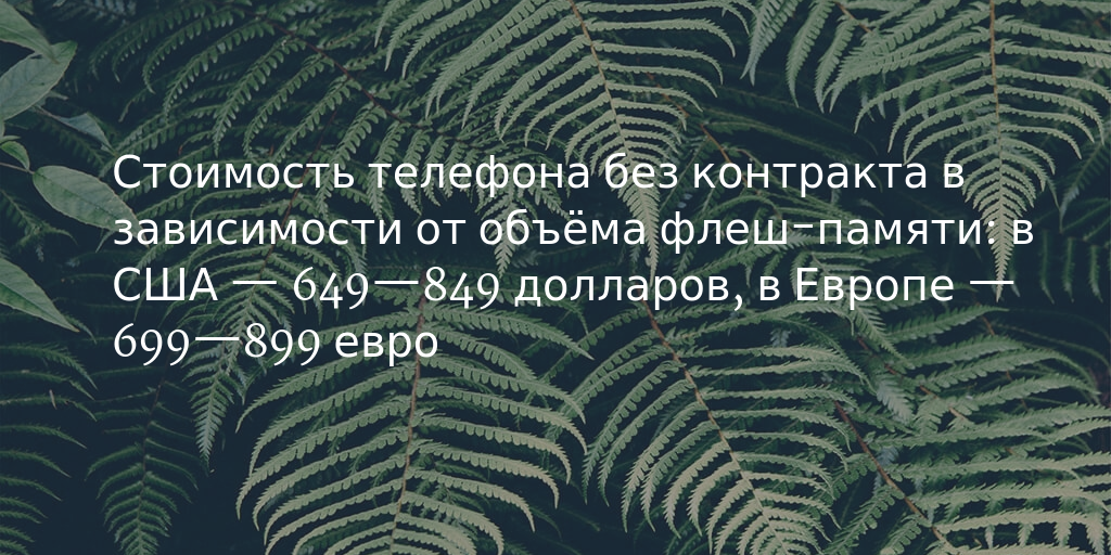 Image title