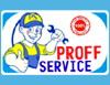 Proffservice