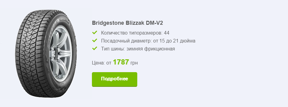 Bridgestone Blizzak DM-V2