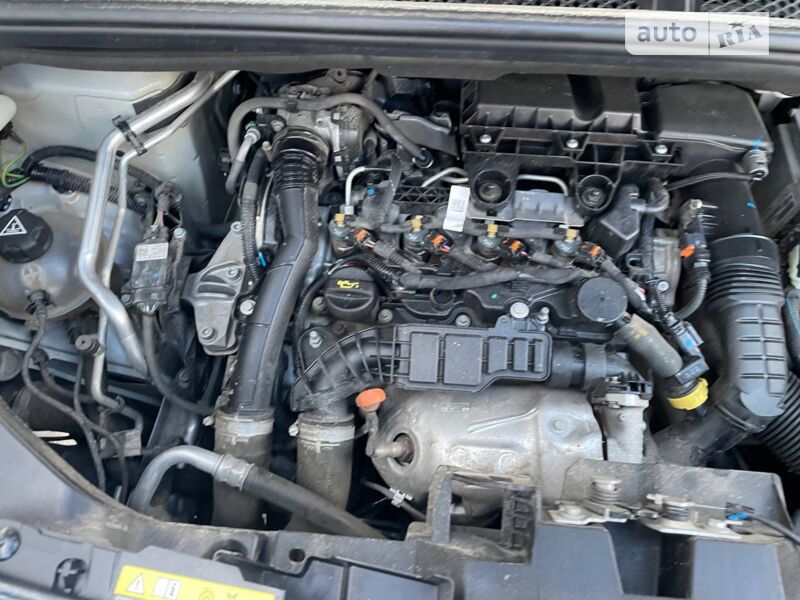 Фото 1 Фото 1