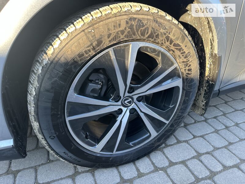 Фото 11 Фото 11