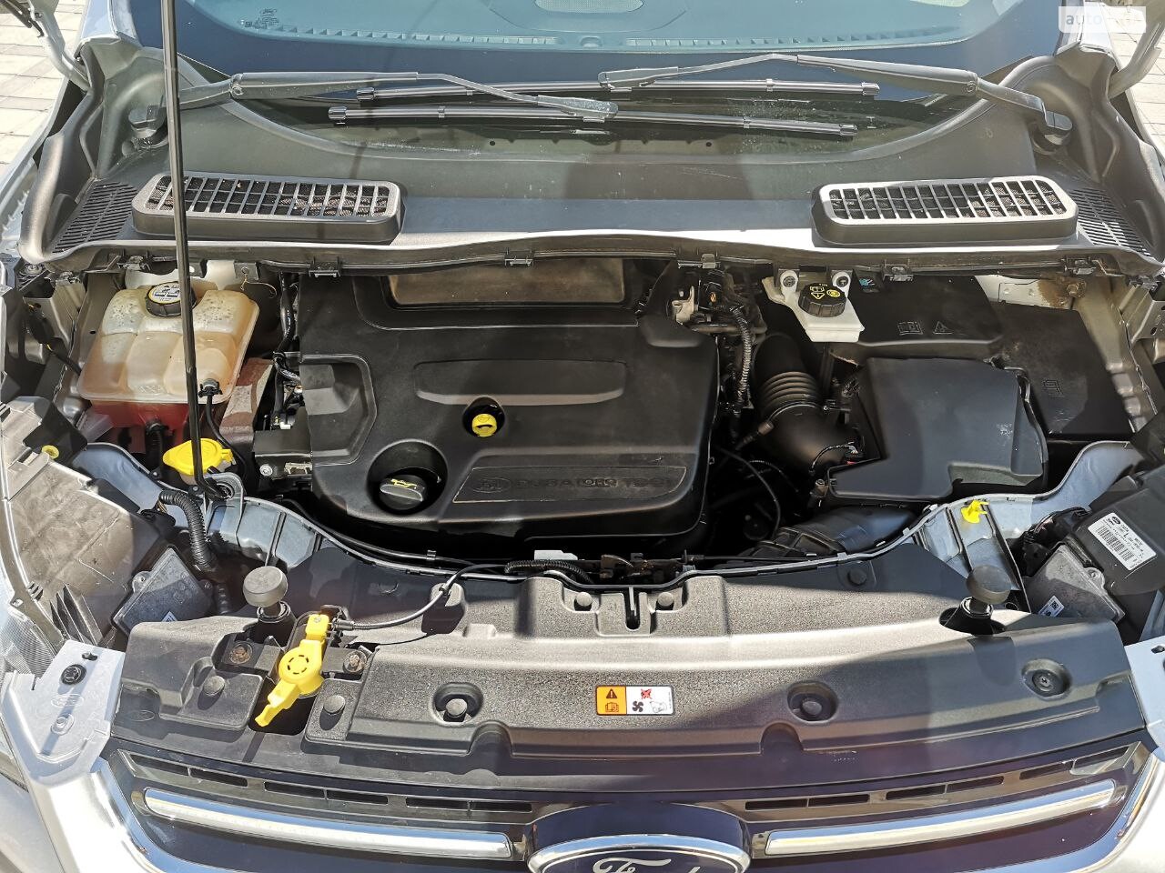 Ford Kuga 'Паркєтнік'