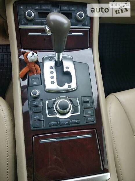 cat_photo category_photo