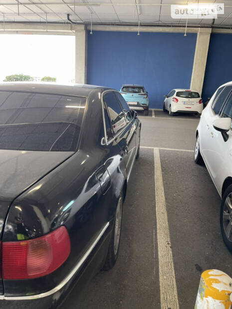 cat_photo category_photo