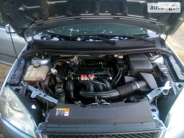 cat_photo category_photo