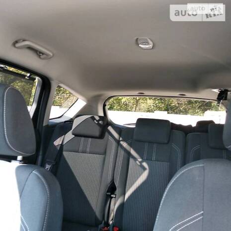 cat_photo category_photo