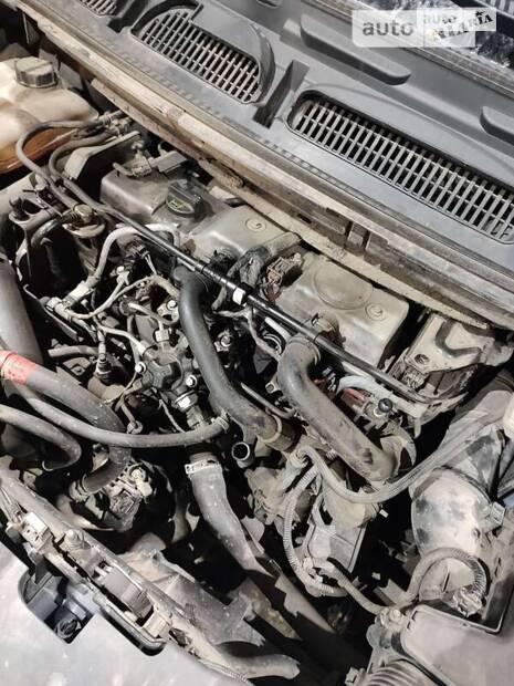 cat_photo category_photo