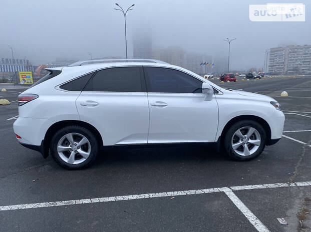 cat_photo category_photo