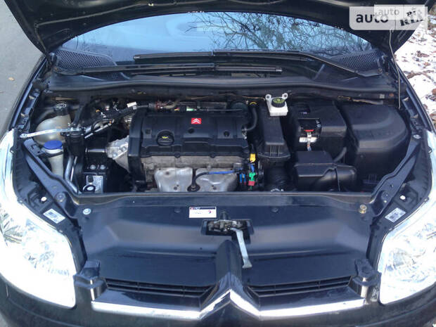 cat_photo category_photo