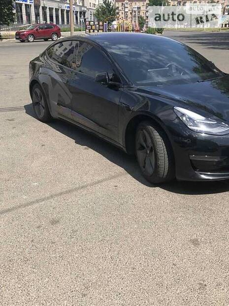 cat_photo category_photo