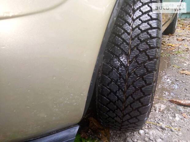 cat_photo category_photo