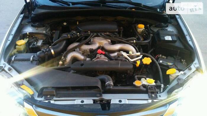 cat_photo category_photo