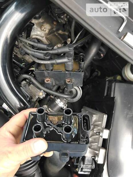 cat_photo category_photo