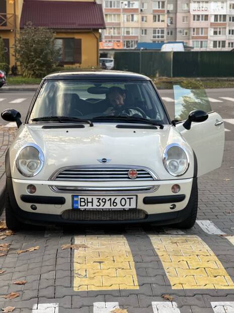 cat_photo category_photo