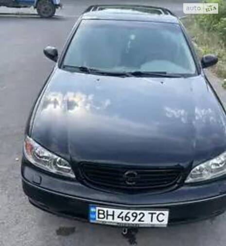 cat_photo category_photo