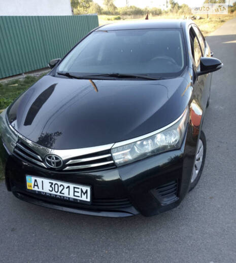 cat_photo category_photo