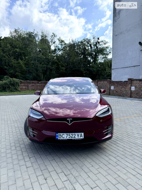 cat_photo category_photo