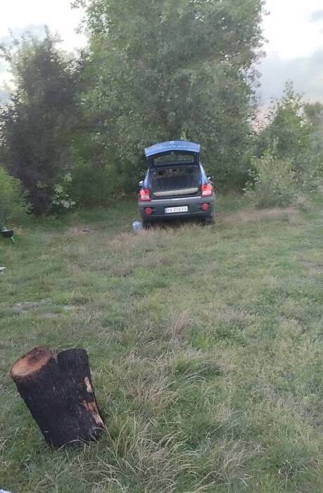 Друг сім'ї  або машина на всі випадки 