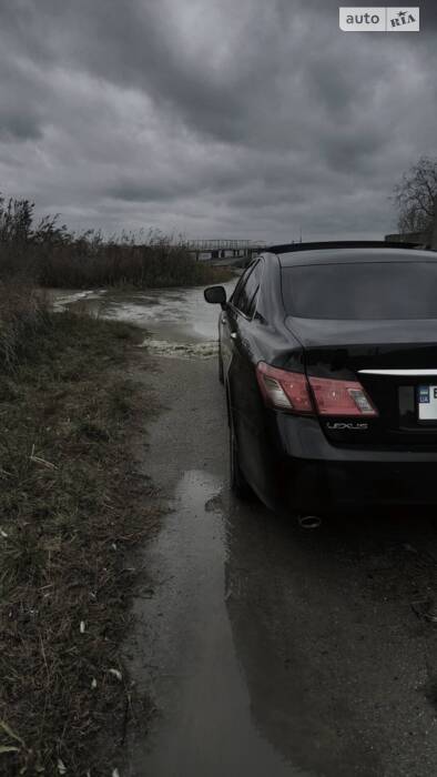 cat_photo category_photo