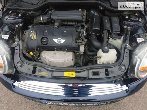 cat_photo category_photo