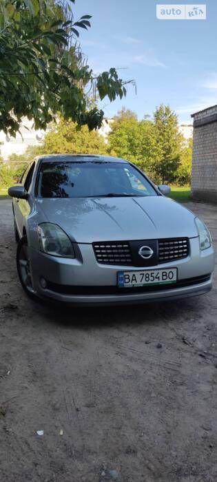 cat_photo category_photo