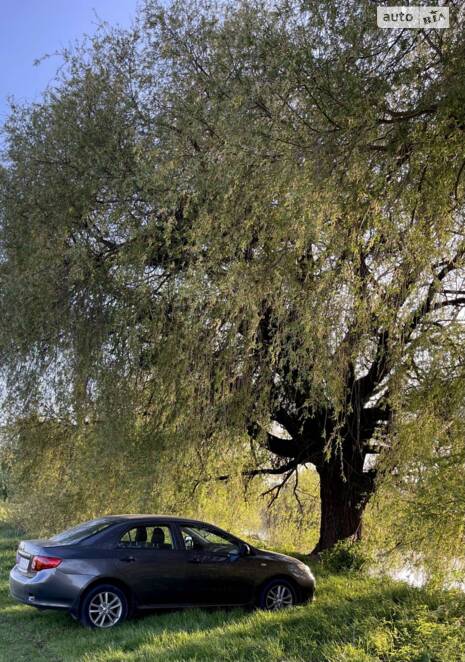 Toyota Corolla 'Bestie'