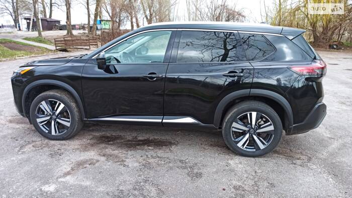 cat_photo category_photo