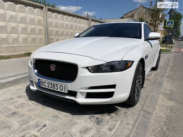 Jaguar XE 'Survival_Cat'