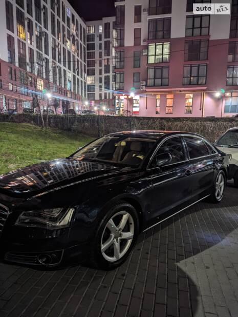 cat_photo category_photo