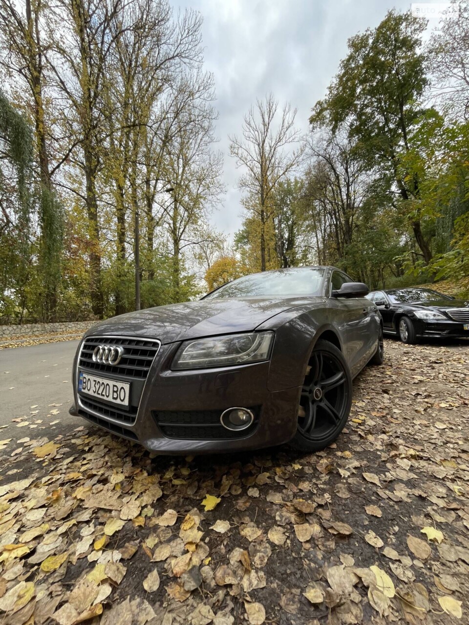 Audi A5 2010