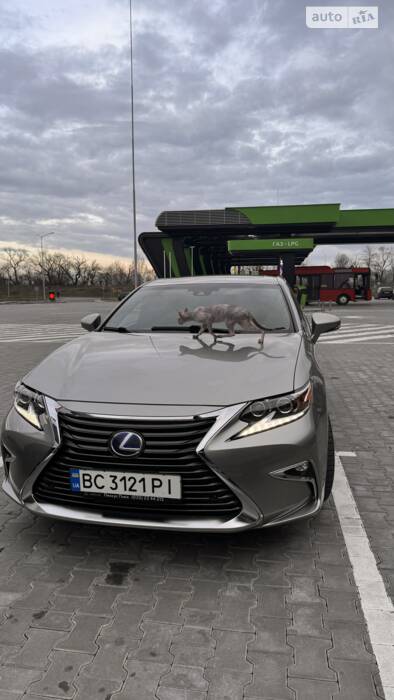 Lexus ES 2018