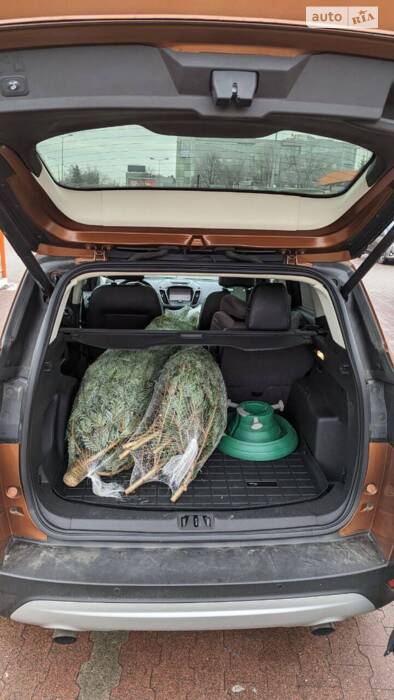 Що ви знаєте про великий багажник, або таким повинен бути сімейний кросовер?