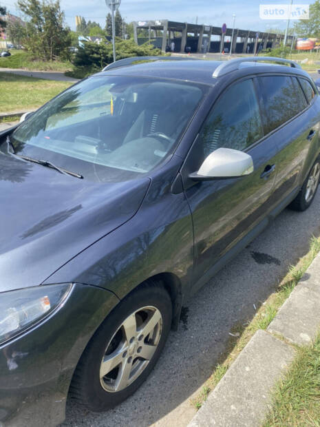 cat_photo category_photo