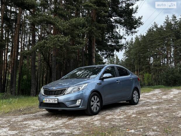 Декілька фото мого улюбленця