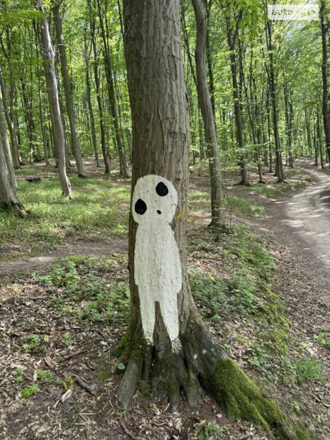 Перші 5 годин покатух