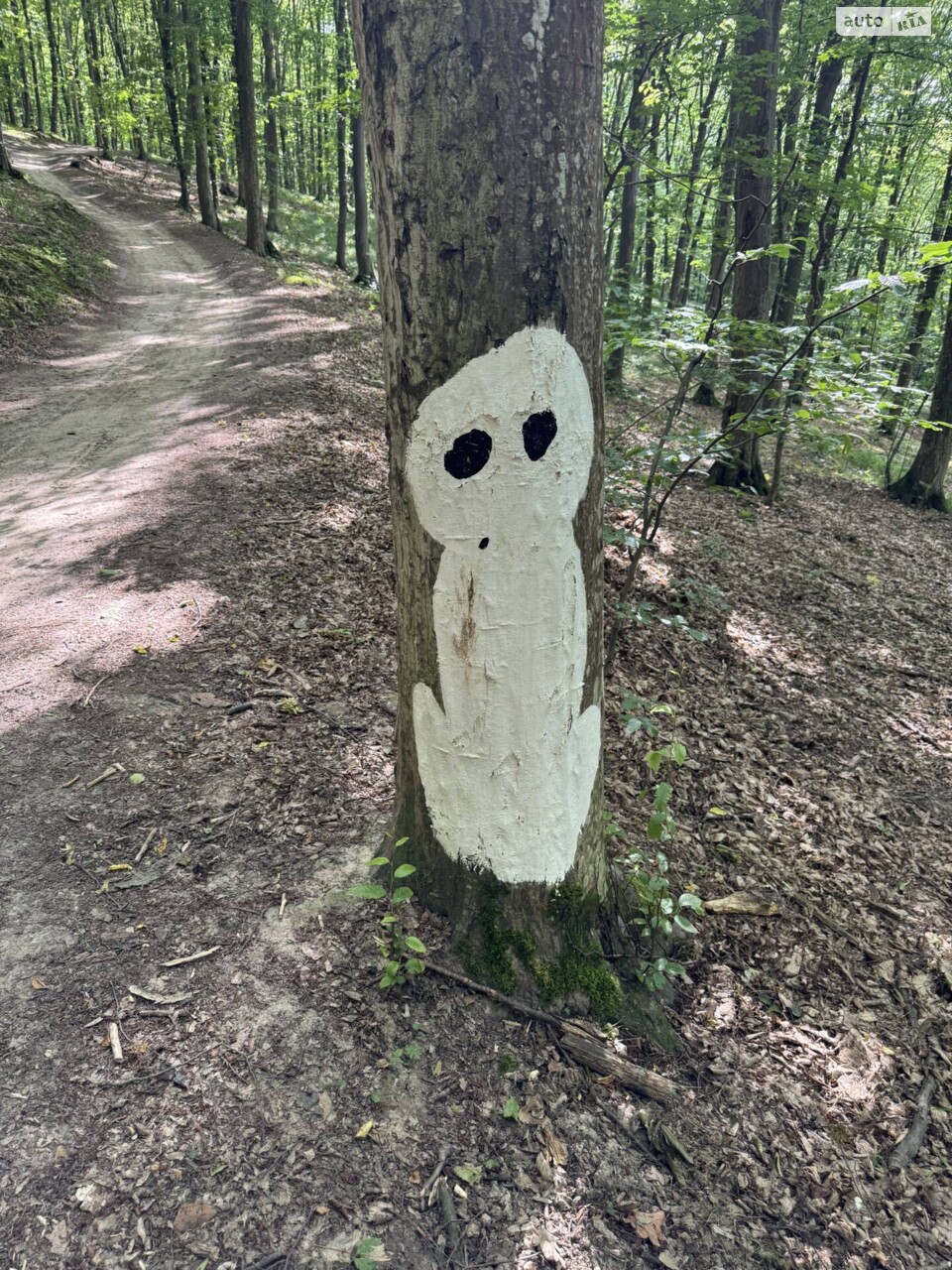 Четвертий день рис. 3&nbsp;