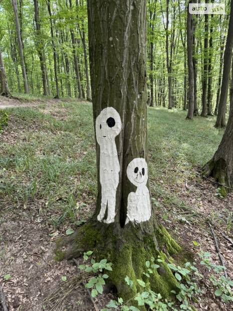 Перші 5 годин покатух