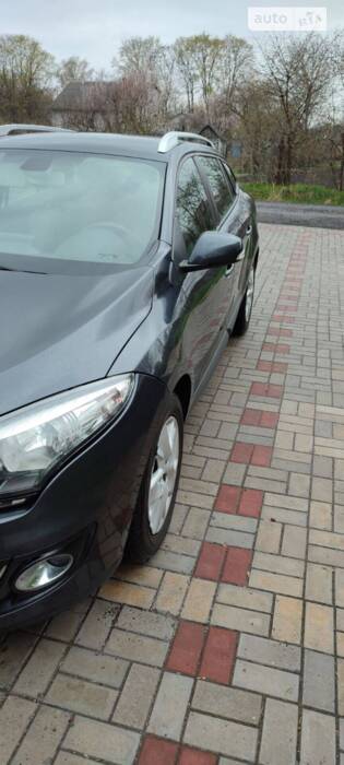 cat_photo category_photo