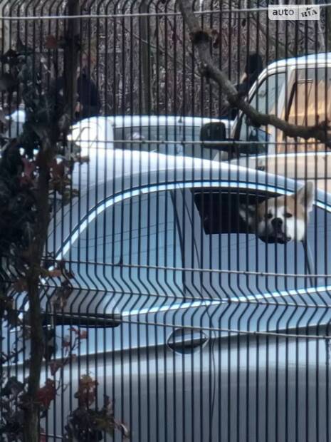 Хімчистка салону