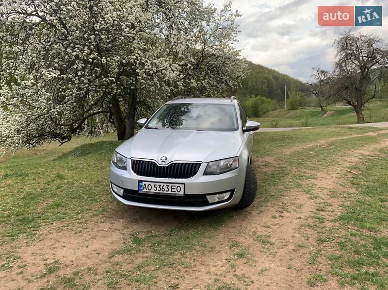 Skoda-30