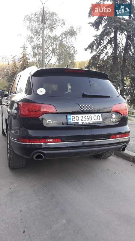 Audi-5