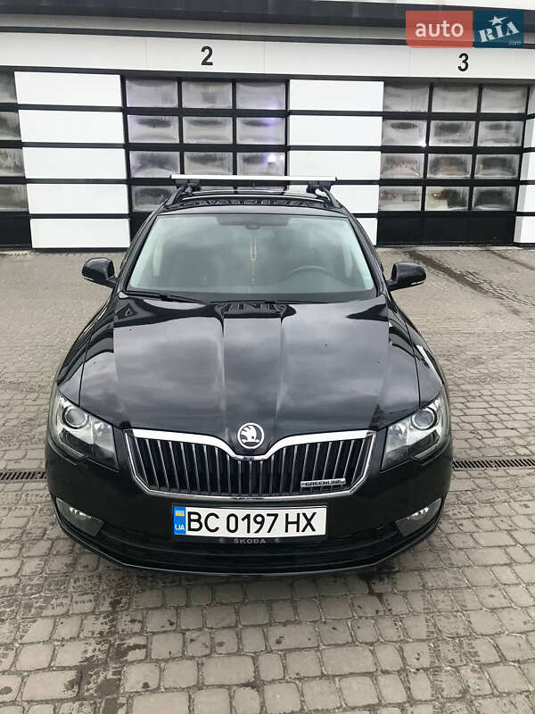 Skoda-2