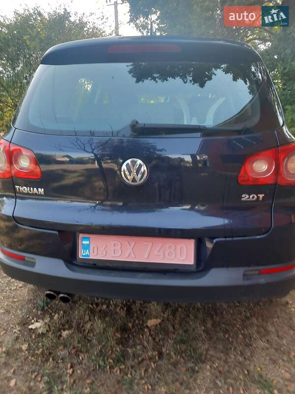 Volkswagen-10