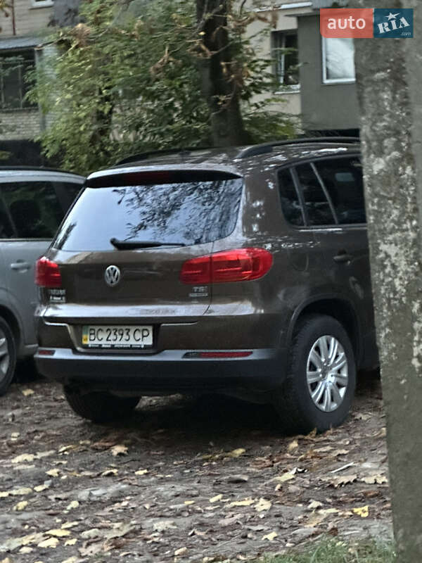 Volkswagen-1