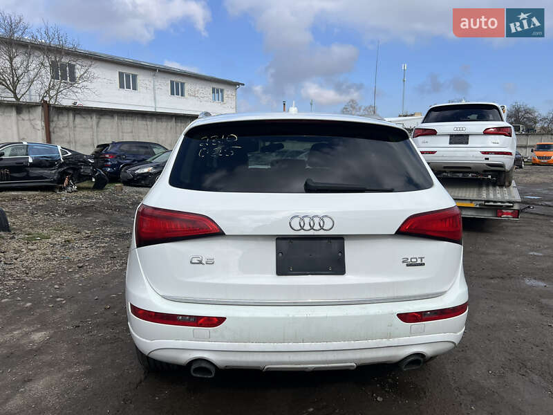 Audi-3