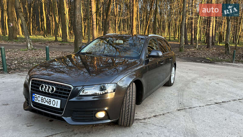 Audi-7