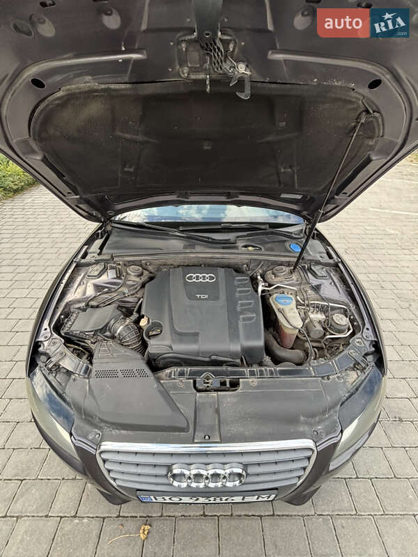 Audi-40